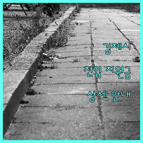 2025 김제시 전입 지원금 누가 얼마나 어떻게 받나 상세 안내