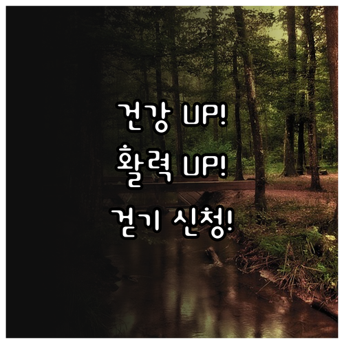 건강 UP! 활력 UP! 지자체 건강걷기 프로그램 신청하세요