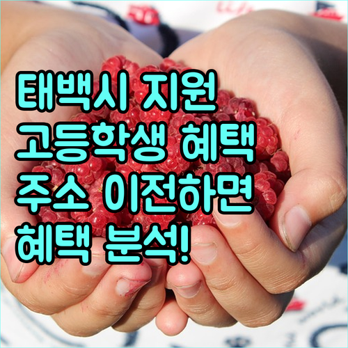 2025 태백시 전입 고등학생 주소이전지원금 완벽 분석 핵심 요건, 혜택