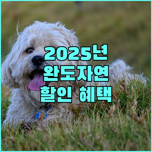 2025 완도자연휴양림 혜택: 장애인, 다자녀, 보훈대상자, 수급자를 위한 숙박 할인