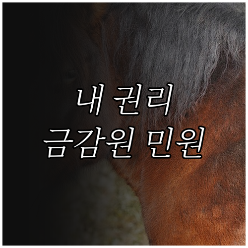 내 권리 찾기 금융감독원 민원 신청 방법: 절차, 유의사항 완벽 분석