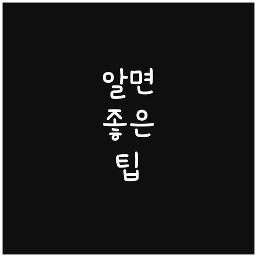 포장이사 당일, 효율적인 동선 정리로 완벽하게 이사하는 방법