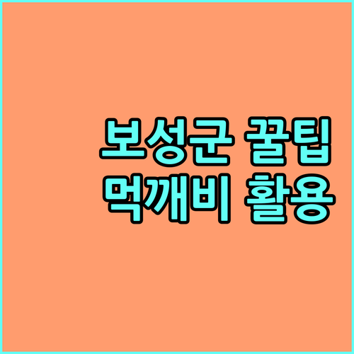 2025 보성군 먹깨비 앱 활용법: 소상공인 매출 증대와 주민 혜택