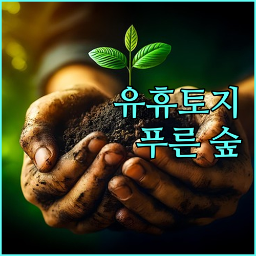 방치된 땅, 2025년 푸른 숲으로 유휴토지 산림 전환 지원
