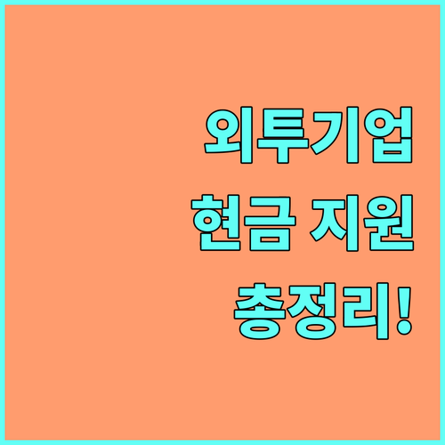 2025 외국인투자기업 현금 지원 대상, 기준, 절차 총정리