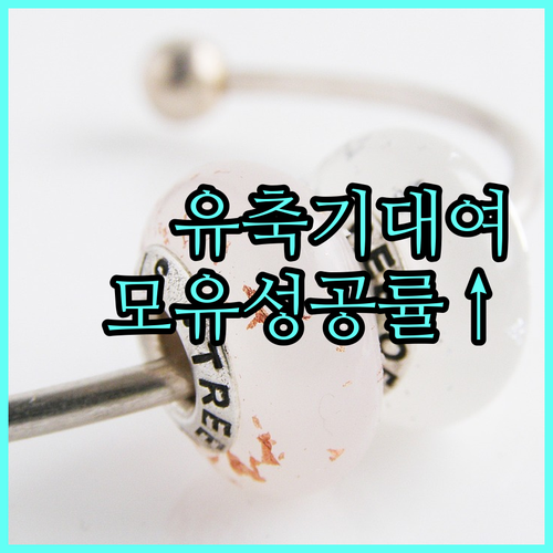 안양시 유축기 대여 서비스 2025: 신청하고 모유 수유 성공률 높이기
