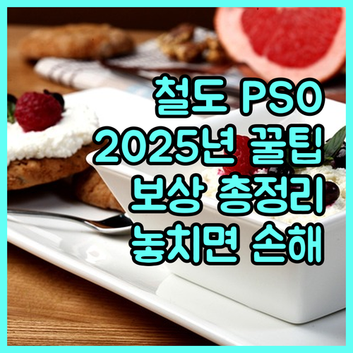 2025 알아두면 유익한 철도 PSO 보상 정보: 지원 대상, 신청 방법, 혜택 정리
