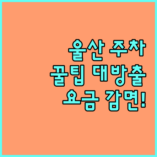 2025 울산 공영주차장 주차비 절약 꿀팁 요금 감면 총정리