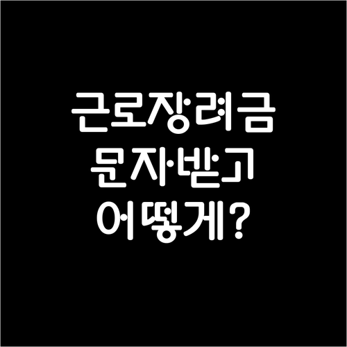 근로장려금 문자 수신 후, 상황별 대처법과 지급일 확인