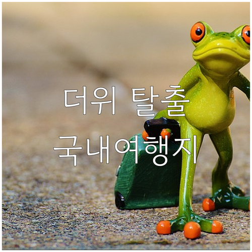 여름 더위 탈출! 시원한 국내 여행 명소 총정리