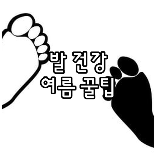 여름철 발 건강 지키는 꿀팁: 땀 관리, 신발 건조, 질환 예방