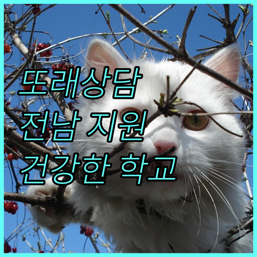 또래상담으로 건강한 학교 만들기 2025 전라남도 지원 안내