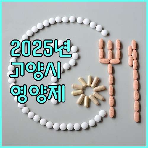 2025년 고양시 임산부 영양제 지원: 온라인 신청 방법 및 필요 서류