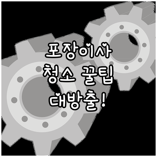 이사 전문가가 알려주는 포장이사+청소 꿀팁 대방출
