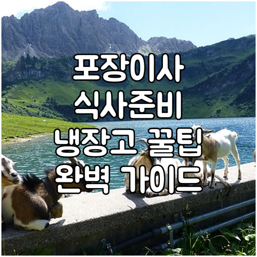 포장이사 식사 완벽 가이드: 간편한 준비와 냉장고 정리 노하우 공개