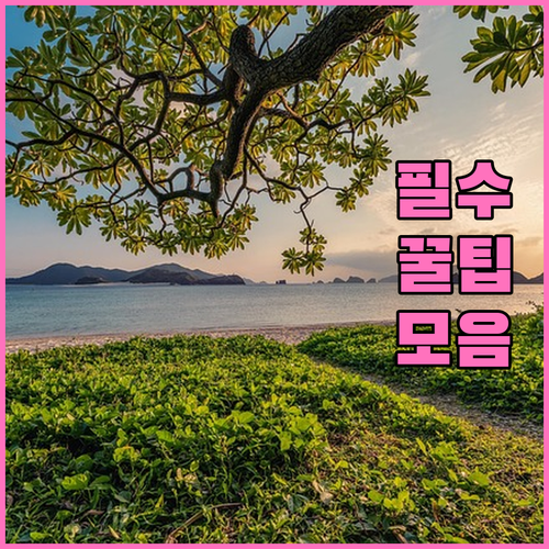 부산 임플란트: 가격, 병원 선택, 사후 관리까지