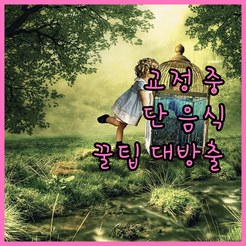 치아교정 중 단 음식, 현명하게 즐기는 방법: 꿀팁 대방출