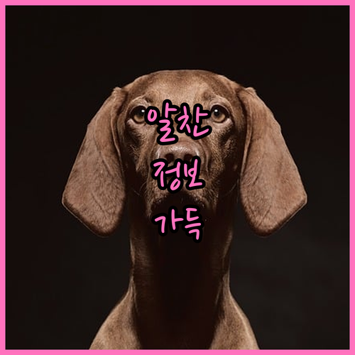 임플란트, 나이가 전부가 아니다! 성공 조건과 건강 관리법