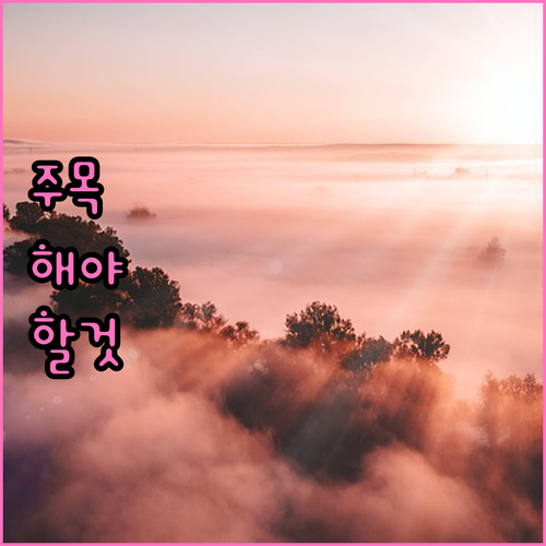 임플란트 시술, 전신마취 해야 할까? : 환자를 위한 맞춤 마취 방법 선택
