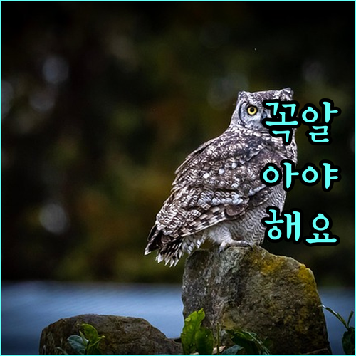 송파구 한부모가족 필독 2025년 지원 사업 지원 조건, 지원 내용 완벽 정리