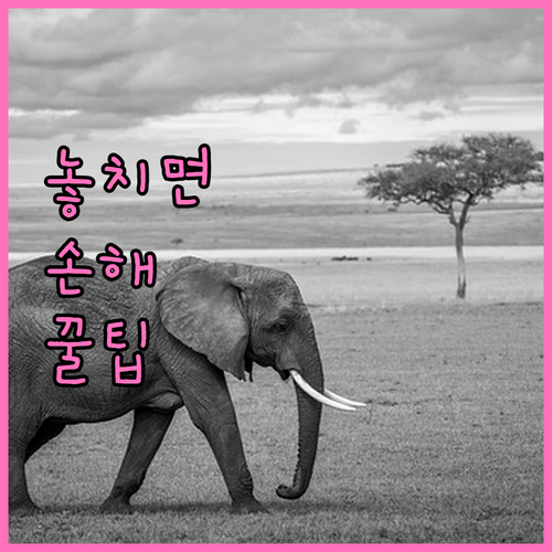 임플란트 건강 유지 비결: 주위염 예방 및 장기 관리법