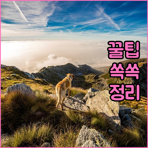 갑자기 끊긴 육아휴직급여 재신청 조건과 필수 절차