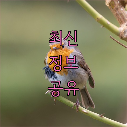 무직자도 육아지원금? 지역가입자 출산 혜택 총정리 놓치지 마세요