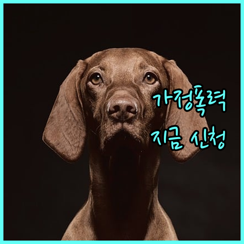 2025 가정폭력 상담 지원: 지금 바로 신청하세요