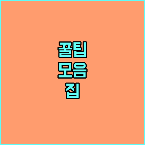 2025 도봉구 명절 위문품비 지원 대상 및 신청 방법 완벽 정리