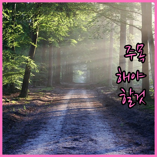 임플란트 vs 틀니: 현명한 선택을 위한 완벽 가이드