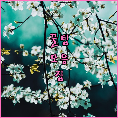 흔들리는 임플란트 조기에 잡는 교정 및 관리법