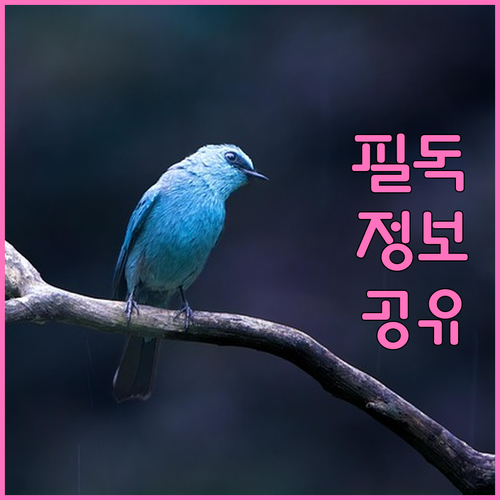 무절개 임플란트 장점: 통증, 붓기, 출혈 최소화