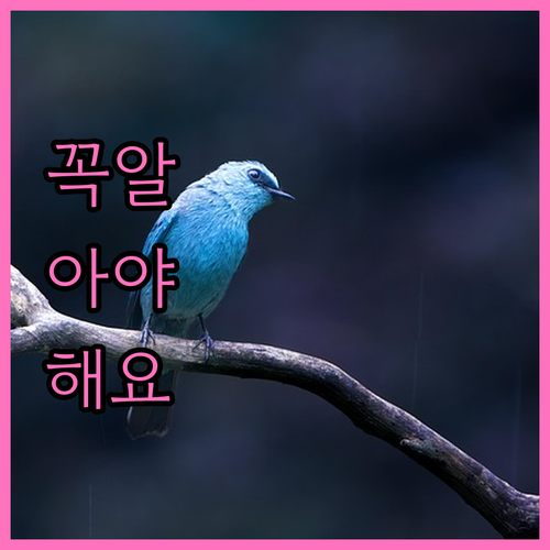 대구 임플란트, 후기 분석으로 실패 없는 선택