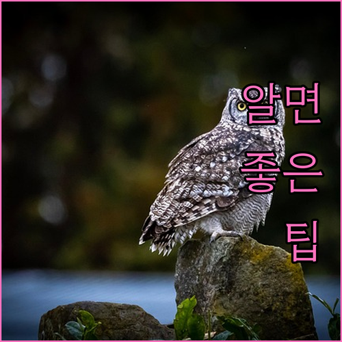 육아휴직 해외 체류? 급여 정지 막는 필수 확인 사항