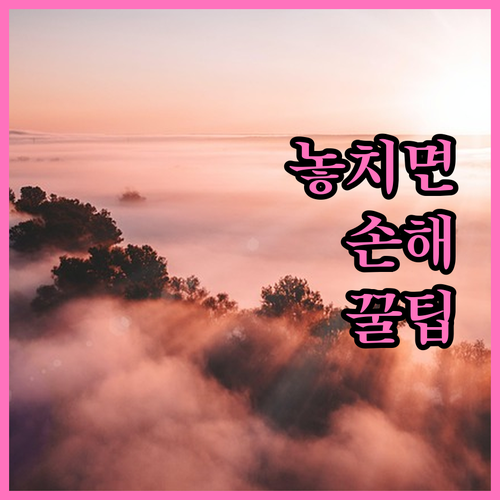 치아 상실, 임플란트와 브릿지: 핵심 비교분석
