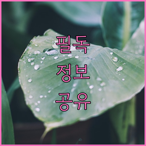 서울 임플란트 치과, 비교하고 선택하는 방법