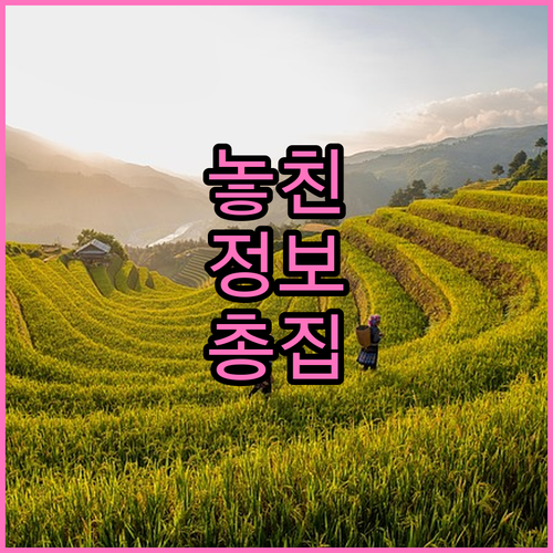 임플란트 고민 해결: 외산 브랜드별 핵심 특징 비교 분석