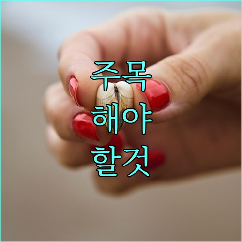 2025 영암군 결혼장려금 총정리 지원 조건, 금액, 신청 방법 완벽 가이드