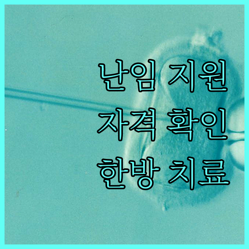 2025년 경상남도 난임 한방 치료 지원 사업, 신청 자격부터 효과까지