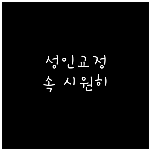 성인 치아교정의 모든 것: 종류, 기간, 주의사항 완벽 분석