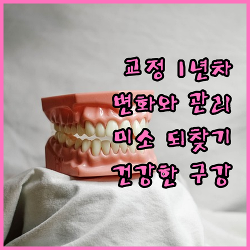 치아교정 1년: 아름다운 미소와 건강한 구강 위한 변화와 관리