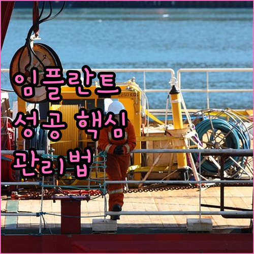 임플란트 성공의 핵심: 시술 과정과 관리법