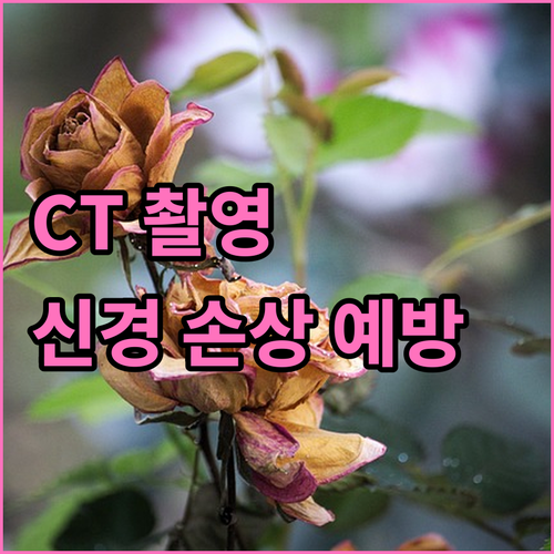 임플란트 전 CT 촬영, 신경 손상 막는 지름길