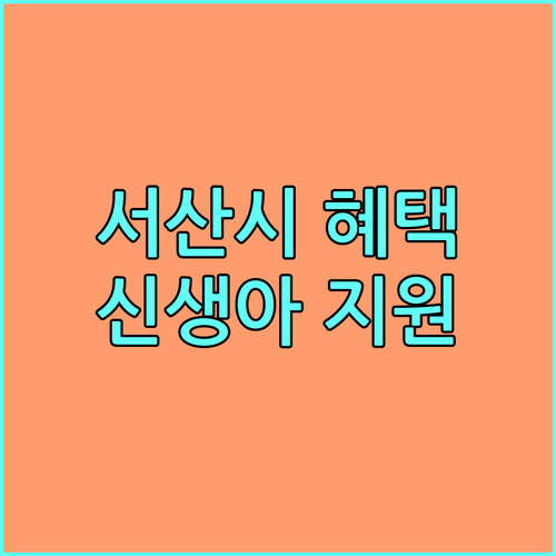 2025년 서산시 신생아 출산 지원 혜택 자격 조건, 금액, 신청 안내
