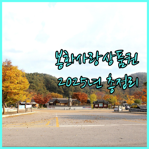 봉화사랑상품권 2025년 가이드: 구매, 사용, 혜택 총정리