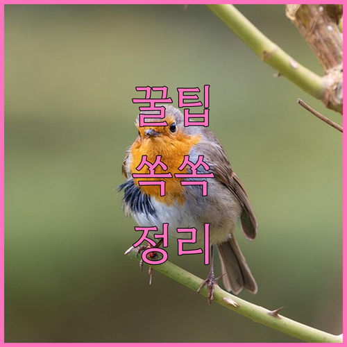 임플란트 크라운 교체, 비용부터 통증까지 모든 궁금증