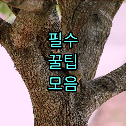 2025 결핵 확산 방지 무료 검진으로 가족 보호