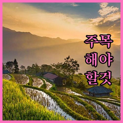 활기찬 노년을 위한 임플란트, 현명한 선택