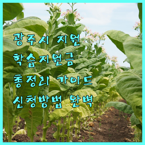 2025 광주시 평생학습지원금 총정리 지원 조건, 신청 방법 완벽 가이드
