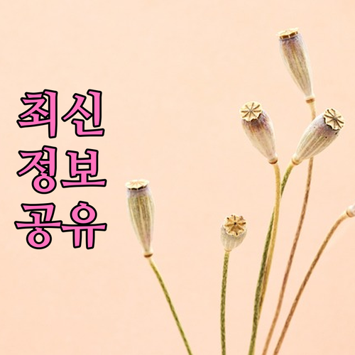 스마트폰으로 개포동 대형폐기물 신고 간편하게 하세요